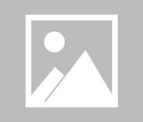 NG SPORTS-官宣日突围战来临，芝加哥公牛围绕NBA常规赛篮板制胜，质疑声四起，临场指挥获称赞(詹姆斯得分篮板助攻数据)